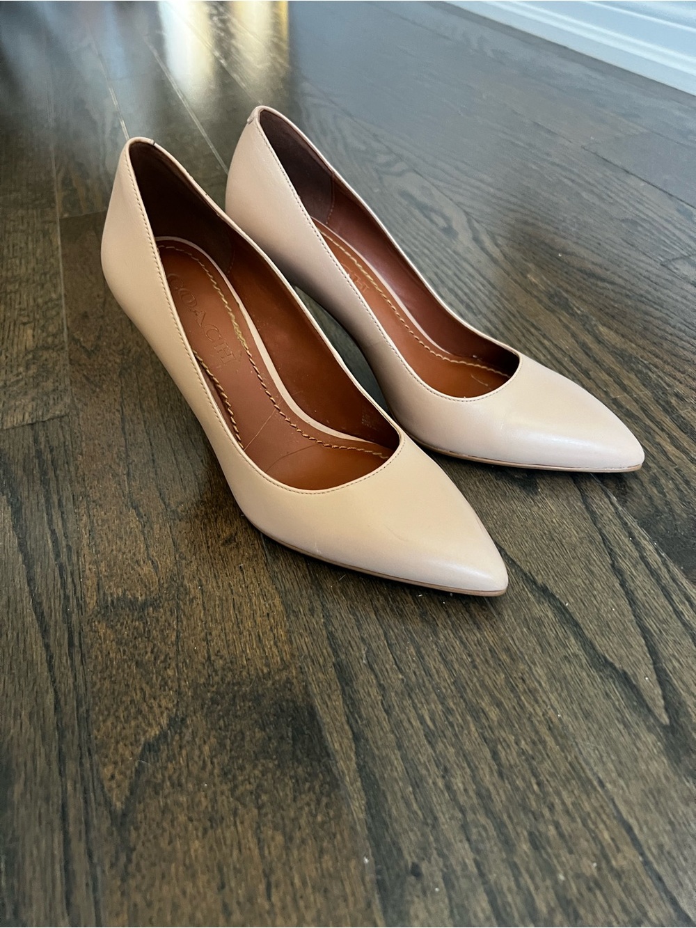 Coach Pointed-Toe Pumps in Blush